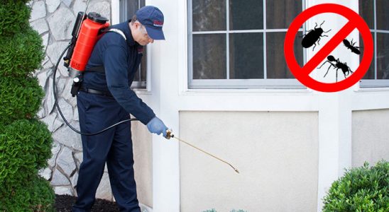 Keşap Akrep İlaçlama böcek ilaçlama ve haşere kontrolü — ilaclama-tr.com
